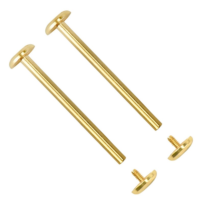 WATCH STRAP SCREW TUBE (PINS) FOR MICHAEL KORS MK5412,MK5314,MK5410,MK8299 GOLD gallery