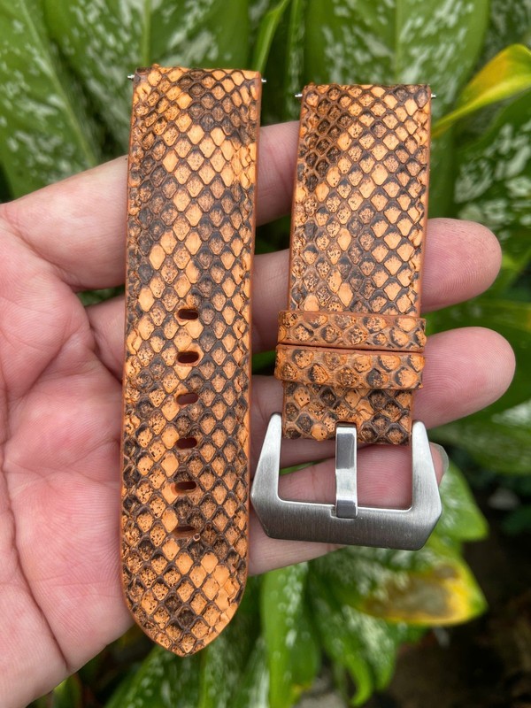 Size 22mm/20mm, Leather/Skin Snake Watch Strap Band Multi Color, Custom Strap gallery