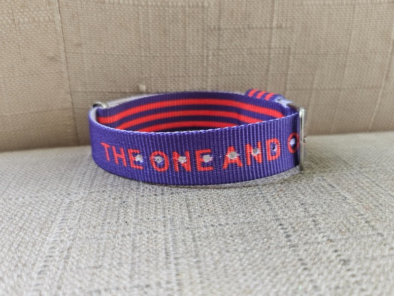 The one and only Strap for Watch Blue Canvas Replacement Wrist Band Size 14mm