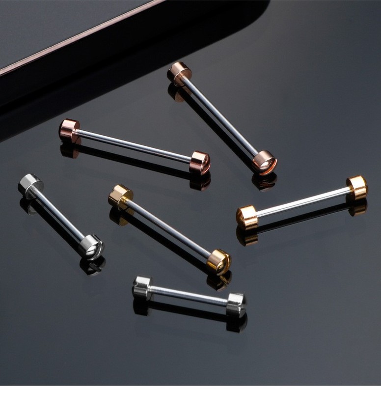 Single-slot Screw Recessed Strap Attachment Rod Lug Stud Lug Pin 14 16 18 22mm gallery