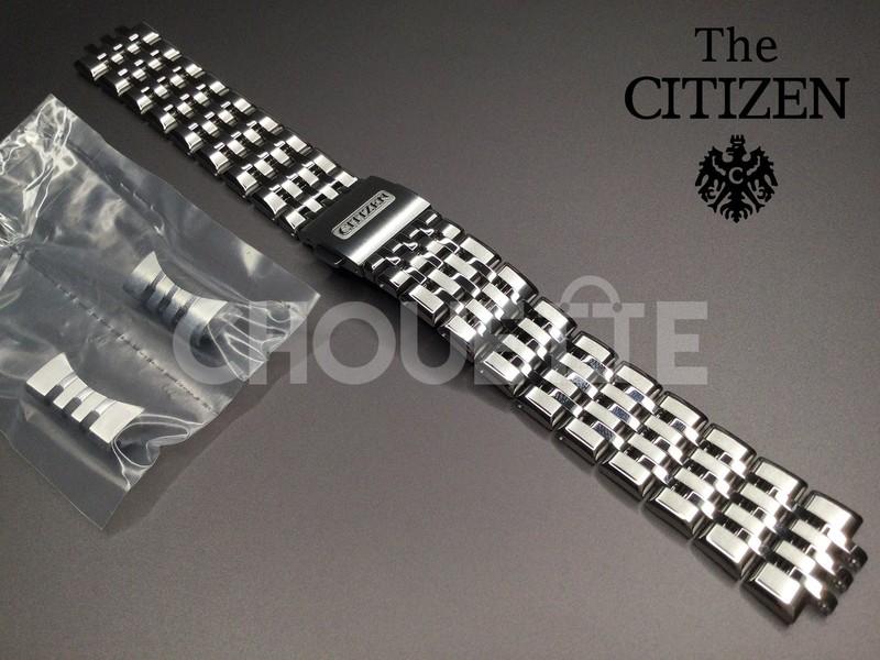 OEM Citizen AQ4100-57L / A060-T027369, AQ4100-14L Titanium Bracelet with PINS