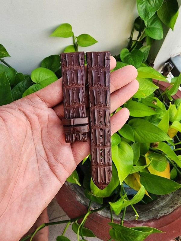 Brown Size 22/20mm Genuine Exotic Leather Skin Watch Strap Band- Quick Release gallery