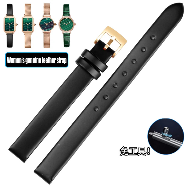 10mm Stainless Steel Watch Band Strap For Lola Rose Bracelet + Tools
