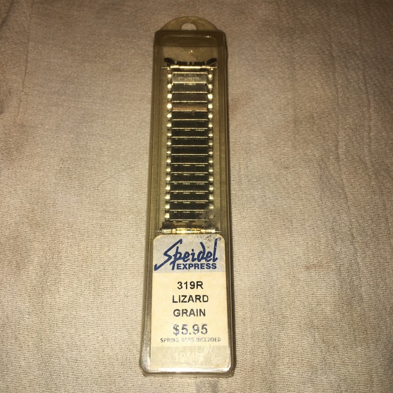 Vintage Spiedel Express Watch Band